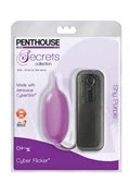 Фиолетовое виброяйцо Penthouse Secrets Cyber Flicker Shy Purple