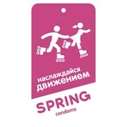 Ароматизатор воздуха Spring Parfum